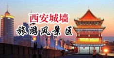 大号鸡巴操逼逼中国陕西-西安城墙旅游风景区